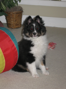 Keegan poses with the Barrel Toy eye painted