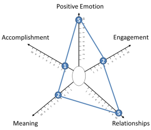 PERMA balance example 1